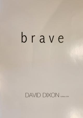 2009 David Dixon Barbie Brochure